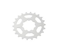 Pignon 10v. pour shimano 23d.