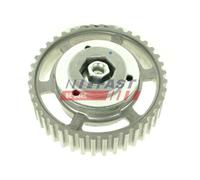 Pignon Pompe D'injection Fast FT45616 pour Renault