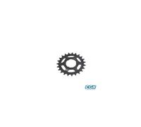 Pignon Shimano Nexus 23dts Noir Multicolore