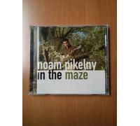 Pikelny, Noam - in The Maze [Import]