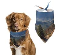 Pikes Peak Colorado Bandana triangulaire pour chien en polyester lavable - Bavoirs mignons pour animaux de compagnie - Pour chiens de taille moyenne et grande - Chiots et chats