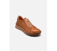 Pikolinos Baskets basses ALAVA W3J in Marron 41