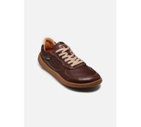 Pikolinos Baskets Aranjuez Unisexe Barefoot en cuir Marron