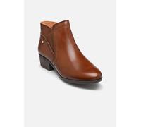 Pikolinos DAROCA W1U-8726 pour 38 Marron