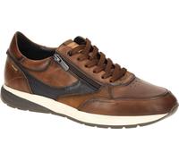 Pikolinos GETAFE Chaussures pour hommes - Chaussures basses confortables à lacets marron Loisirs NEU