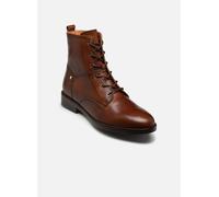 Pikolinos PUERTOLLANO W3C-8913 pour 40 Marron