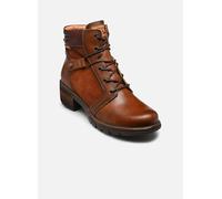 Pikolinos SAN SEBASTIA W1T-8979C1 pour 42 Marron