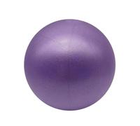 Pilates Ball Fitness Gym Yoga Équipement Rééducation Formation Jambe Cuisse