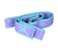 Pilates Bands - Enhances Stretching and Training Routines | with Number Elastic Home Gym Equipment Dance Stretch Bands | for Women, Glute, Leg, Arm, Yoga, Ballet, Latin, Fitness