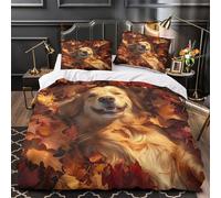 Pile de pièces d'or Parure de Lit Microfibre 3D Imprimée Douce Respirante Concept de finance de luxe Housse de Couette Fermeture Éclair Super Douce Résistante for couple amoureux Double（200x200cm）