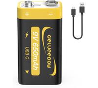 Piles 9V Rechargeable 650mAh, Pile 9V Lithium Rechargeable USB C 1PCS pour Détecteur de Fumée