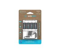 Piles Rechargeables USB-C PALEBLUE CR123A