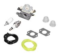 Pilipane Carburateur WTA-33-1 avec Kit De Mise Au Point, Souffleur à Feuilles Walbro WTA-33-1 Echo PB-250, Souffleur à Feuilles RB-K106 avec Outil De Réglage du Filtre à Air Et Conduite De Carburant