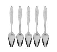 Pilipane Cuillère d'alimentation d'alimentation en Acier Inoxydable 5 pcs résistants à l'oiseau léger Durable cuillères en Poudre de Lait en Poudre pour Petits perroquets et Oiseaux de