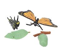 Pilipane Modèle d'es Cycle de Croissance du Jouet Butterfly Simulation Animal Enfants Educational Toy Life Stages Kit d'apprentissage pour Enfants