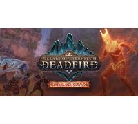 Pillars of Eternity II Deadfire Seeker Slayer Survivor (DLC)