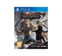Nordic Games - Jeu PS4 - Pillars of Eternity II: Deadfire - Édition Ultimate