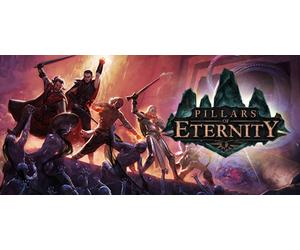 Pillars of Eternity (PC)