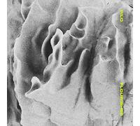 Pilo - Flourishes (Mix) [Import]