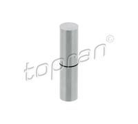 Pilon, pompe à dépression (freinage) TOPRAN 117 515