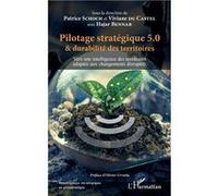 Pilotage stratégique 5.0 et durabilité des territoires Patrice Schoch (Auteur), Viviane du Castel (Auteur), Hajar Bennar (Auteur)