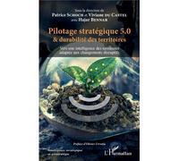 Pilotage stratégique 5.0 et durabilité des territoires Vers une intelligence des territoires adaptée aux changements disruptifs - Patrice Schoch - L'harmattan - broché - Essai