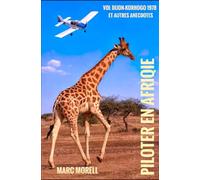 Piloter en Afrique: Vol Dijon-Korhogo 1978 et autres anecdotes