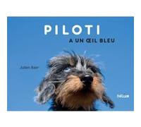 Piloti a un oeil bleu Julien Baer (Auteur)