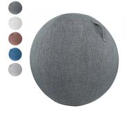 PiLtaR 55/65/75cm Housse Ballon Gym Housse Ballon de Exercice Housse De Swiss Ball Ballon Bureau Anti-saleté Durable Housse De Protection Antidérapante,Gris,55cm