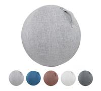 PiLtaR Housse Ballon Gym 55/65/75cm Housse Ballon de Exercice Housse De Swiss Ball Ballon Bureau Anti-saleté Durable Housse De Protection Antidérapante,Argent,65cm