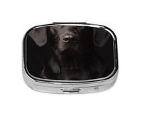 Pilulier à 2 compartiments avec labrador noir, organiseur portable