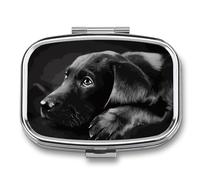 Pilulier à 2 compartiments - Motif chiot labrador noir - Portable - Organiseur de voyage pour poche - Médecine quotidienne - Boîte à vitamines - Boîte à huile de poisson