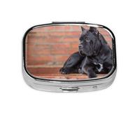 Pilulier à 2 compartiments pour animaux de compagnie, motif Cane Corso, gros chien noir, organiseur portable