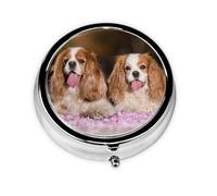 Pilulier à 3 compartiments, organiseur portable, motif Cavalier King Charles Spaniel, chiens blancs et bruns