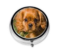 Pilulier à 3 compartiments, organiseur portable, motif Cavalier King Charles Spaniel, chiens bruns bouclés
