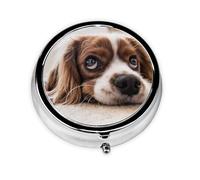 Pilulier à 3 compartiments, organiseur portable, motif Cavalier King Charles Spaniel, chiens mignons, animaux de compagnie