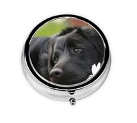 Pilulier à 3 compartiments, organiseur portable, motif Labrador noir et camomille, pour chiens Black Retriever