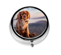 Pilulier à 3 compartiments, organiseur portable, pour chiens et animaux de compagnie, Cavalier King Charles Spaniel
