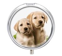 Pilulier amusant pour chien labrador 3 compartiments portable avec miroir rond en métal pour ranger les vitamines, l'huile de poisson
