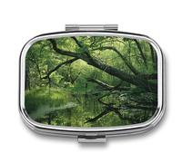 Pilulier Ancient Swamp à 2 compartiments, pilulier portable pour poche ou sac à main, organiseur décoratif en métal pour médicaments et vitamines