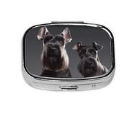Pilulier carré à 2 compartiments en métal avec imprimé chien schnauzer mignon pour poche, sac à main, mini pilulier pour contenir des vitamines quotidiennes