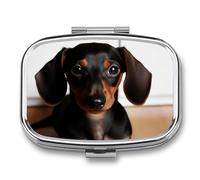 Pilulier carré portable en métal à 2 compartiments - Petit pilulier de voyage mignon - Pour saucisse chien - Support de vitamines pour sac à main