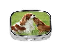 Pilulier Cavalier King Charles Spaniel (3), boîte à pilules Meta à 2 compartiments, organiseur portable