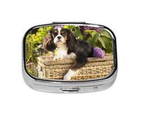Pilulier Cavalier King Charles Spaniel (4), boîte à pilules Meta à 2 compartiments, organiseur portable