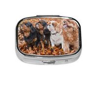 Pilulier Cavalier King Charles Spaniel Automne Puppies Meta Pilulier 2 compartiments Organiseur portable