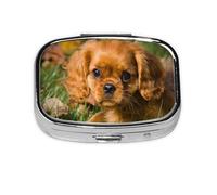 Pilulier Cavalier King Charles Spaniel Marron Bouclés Boîte à médicaments 2 compartiments Organiseur portable