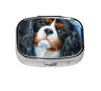 Pilulier Cavalier King Charles Spaniel, Meta Pilulier 2 Compartiments Organisateur Portable