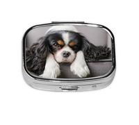 Pilulier Cavalier King Charles Spaniel, Meta Pilulier 2 Compartiments Organisateur Portable