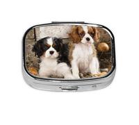 Pilulier Cavalier King Charles Spaniel Petit Chiot, Meta Pilulier 2 Compartiments Organisateur Portable