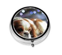 Pilulier Cavalier King Charles Spaniel, petit épagneul, boîte à pilules Meta, 3 compartiments, organiseur portable